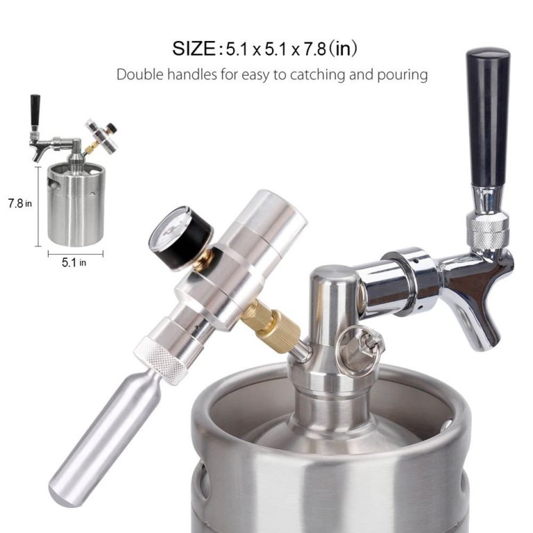Portable Stainless Steel Pressurized Keg Growler | Kegerator for Home Brew Beer | 64 Ounce(2L)